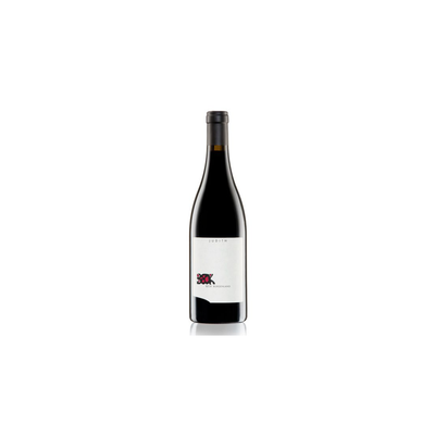 BIO Judith Judith Beck