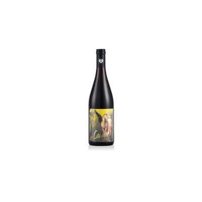 Pinot Noir Cavallo Giefing