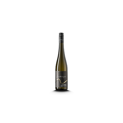 Riesling Federspiel Burgstall Gattinger